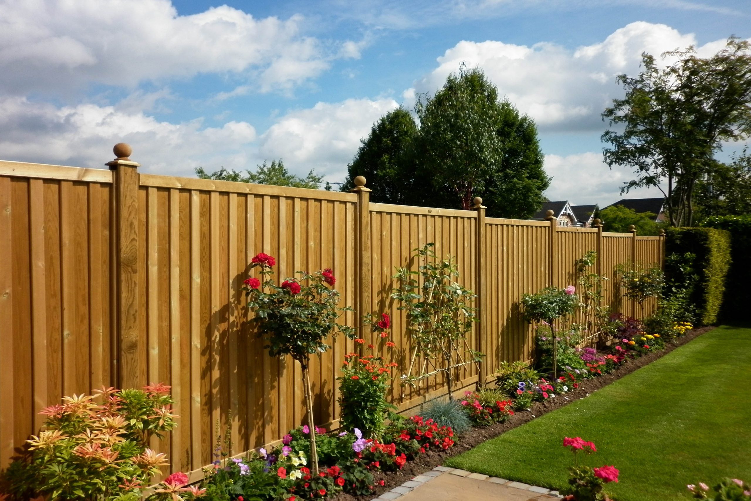 backyard fence ideas